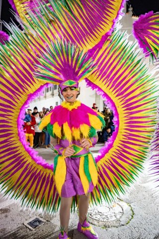 Disfraz Samba Carnaval