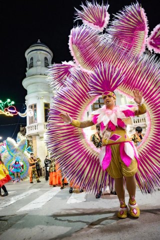 Disfraz Samba Carnaval