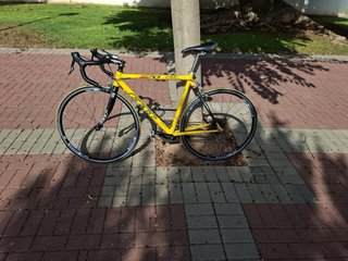 Bicicleta Felt de carretera Talla 54