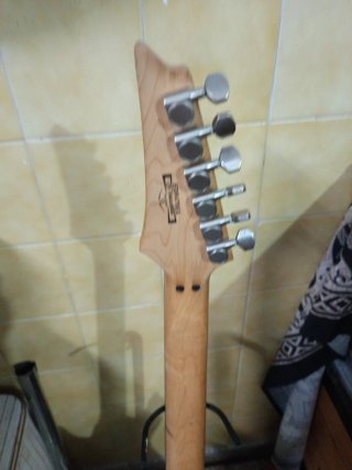 Guitarra Eléctrica Ibanez Ergodyne Plata
