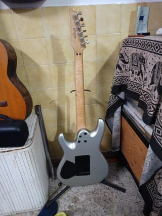 Guitarra Eléctrica Ibanez Ergodyne Plata