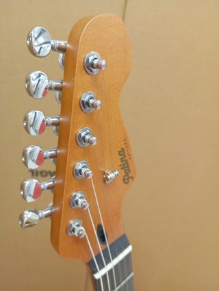 Guitarra Eléctrica Patina PS6-OWR nitro relic