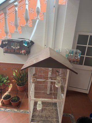 Voladera para pájaros marrón y blanca