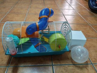 Jaula para hámster con bola para correr