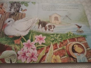 Livro Infantil O Patinho Escondido Vintage