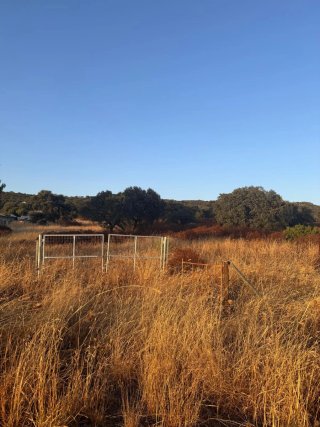 Se vende terreno campo