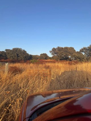Se vende terreno campo