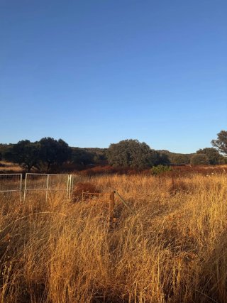 Se vende terreno campo