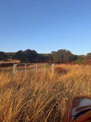 Se vende terreno campo