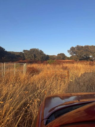 Se vende terreno campo