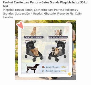 Carrito Perros Gatos PawHut Grande Plegable Gris