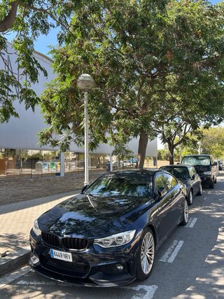 BMW Serie 4 2014