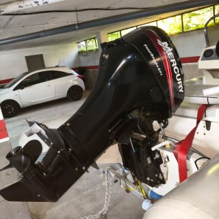 Semirrígida Valiant V-450 40cv efi 4T con remolque