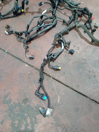 Cableado Motor Dacia Duster 1.5 dci