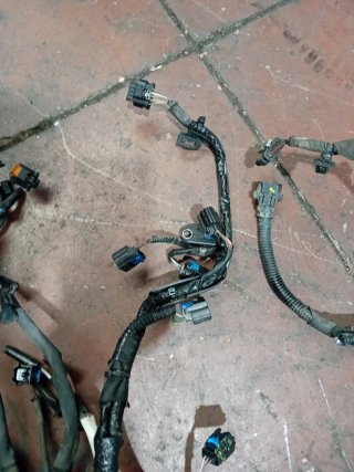 Cableado Motor Dacia Duster 1.5 dci