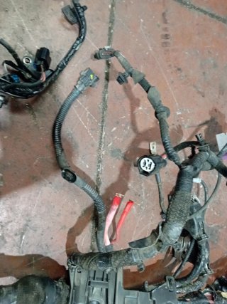 Cableado Motor Dacia Duster 1.5 dci