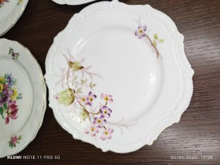 Lote 15 Platos Vintage Cerámica Porcelana