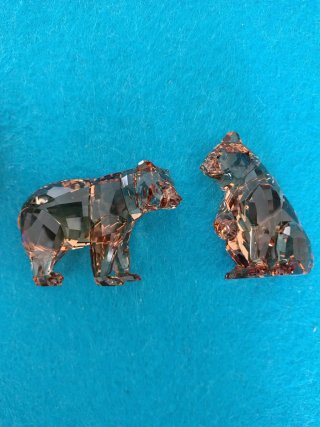 Swarovski SCS Orso Arcadia