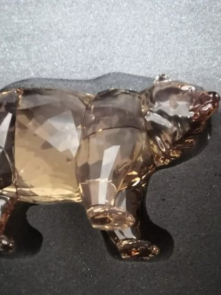 Swarovski SCS Orso Arcadia