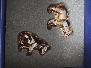 Swarovski SCS Orso Arcadia