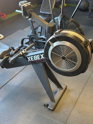 Máquina de remo Xebex