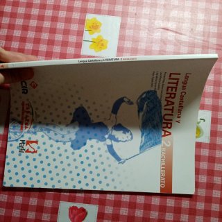 Lengua castellana y literatura, 2 Bachillerato