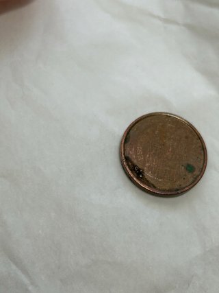 Moneda 1 céntimo euro 1999 con error