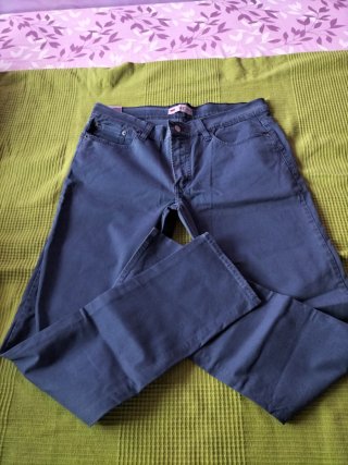 Pantalón de hombre azul Levis