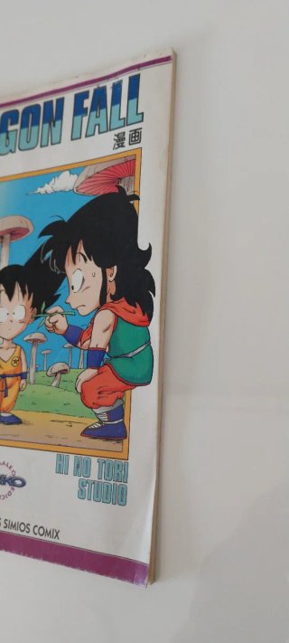 COMIC DRAGON FALL N°1