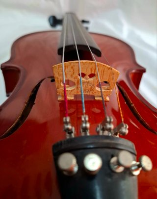 Violín 3/4