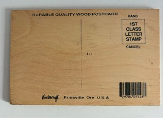 Lote 6 Postales Madera Alaska Vintage USA