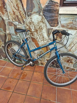 Bicicleta Cadete Niña