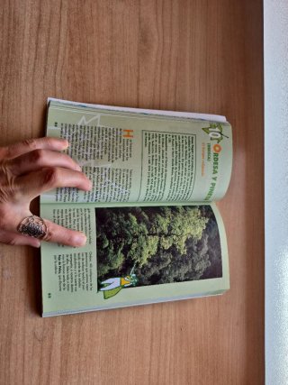 33 fines de semana insólitos