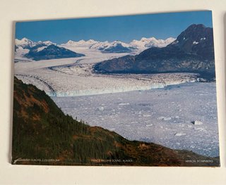 Lote de 9 Láminas Vintage Alaska: Glaciar Harriman