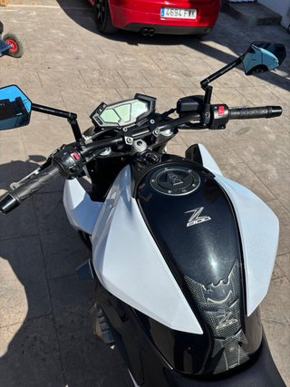 Kawasaki Z800 - Limitada en papeles A2