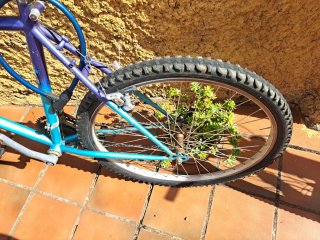 Bicicleta BH Clásica 30 Años