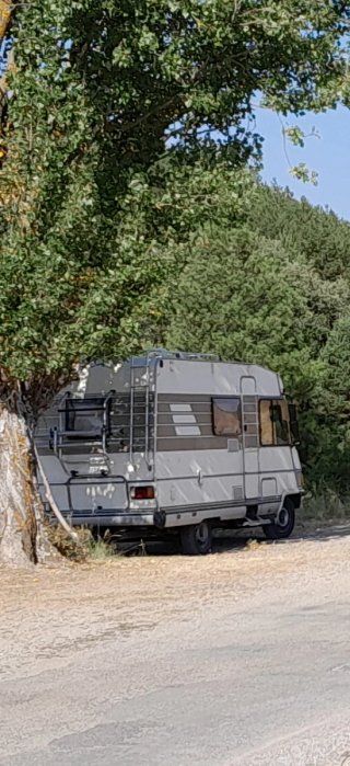 FIAT hymer  1989