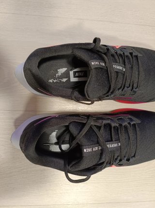 Nike Air Pegasus 38 (45)