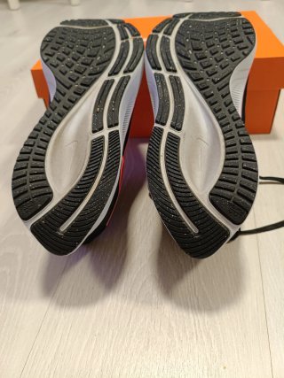 Nike Air Pegasus 38 (45)