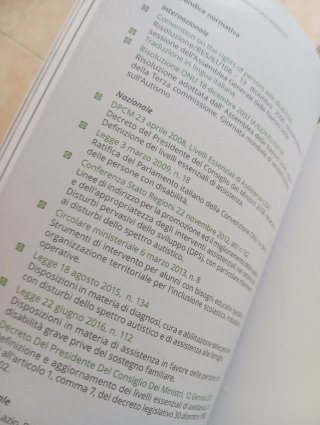 Autismo osservare per intercettare i precursori
