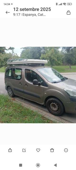 Cama para coche