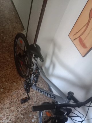 Bicicleta Moma 29"