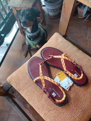 Sandalias Stradivarius Talla 37