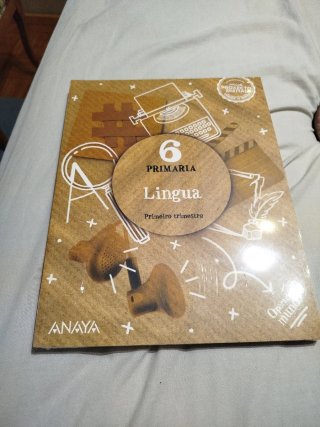Lingua, 6 Primaria, Operación mundo