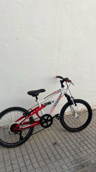 Bicicleta infantil Freerider