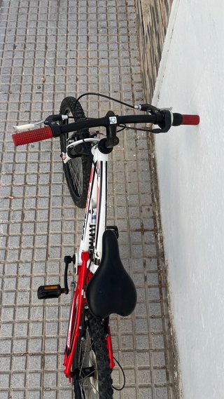 Bicicleta infantil Freerider