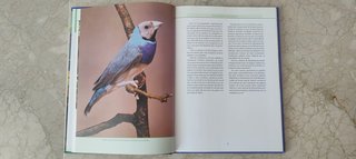 2 LIBROS DIAMANTES DE GOULD | Cría Genética Cuidad