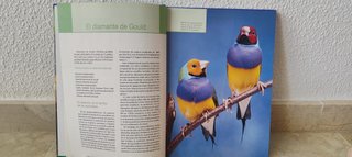 2 LIBROS DIAMANTES DE GOULD | Cría Genética Cuidad