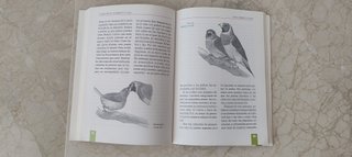 2 LIBROS DIAMANTES DE GOULD | Cría Genética Cuidad
