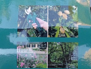 Forbice Elettrica Giardino 48V Mukins
